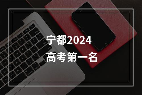 宁都2024高考第一名