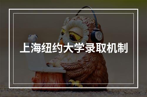 上海纽约大学录取机制