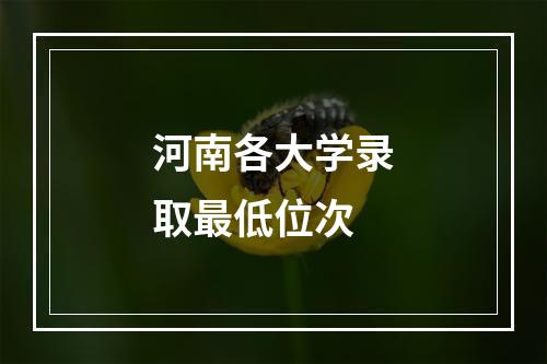 河南各大学录取最低位次