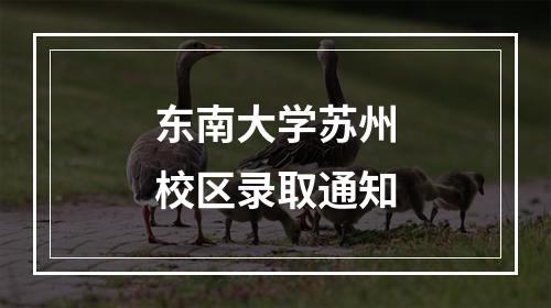 东南大学苏州校区录取通知