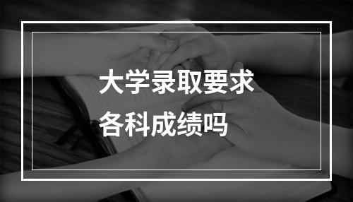 大学录取要求各科成绩吗