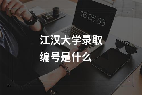 江汉大学录取编号是什么