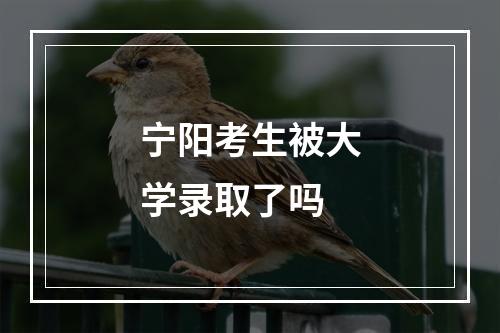 宁阳考生被大学录取了吗