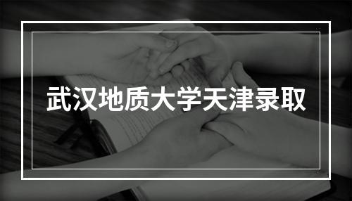 武汉地质大学天津录取