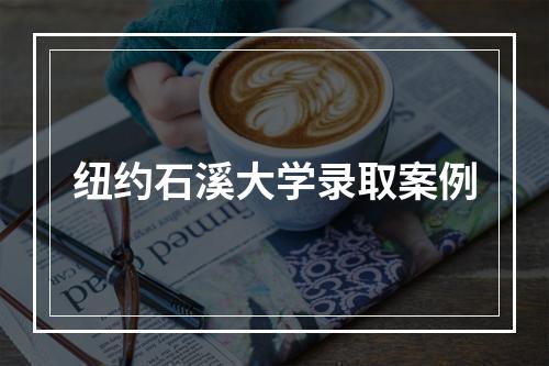 纽约石溪大学录取案例