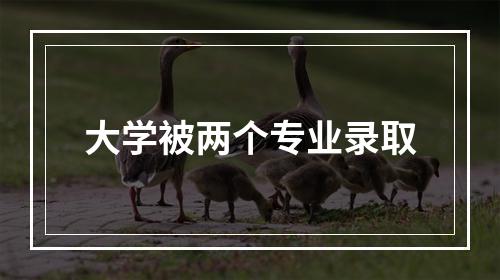 大学被两个专业录取