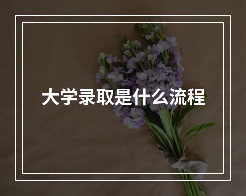 大学录取是什么流程