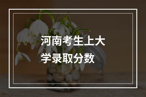 河南考生上大学录取分数