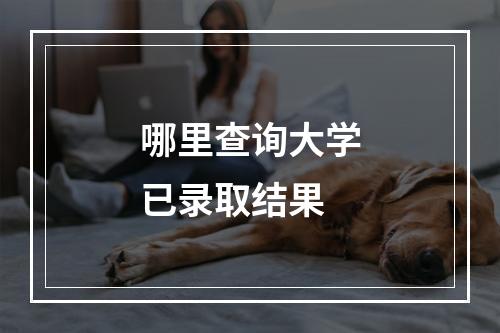 哪里查询大学已录取结果