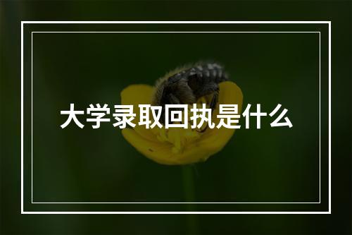 大学录取回执是什么