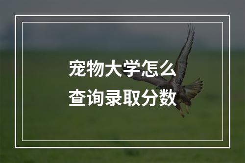 宠物大学怎么查询录取分数