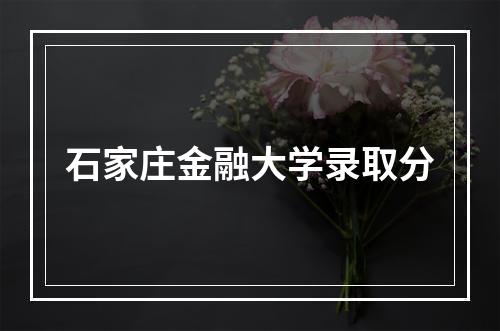 石家庄金融大学录取分