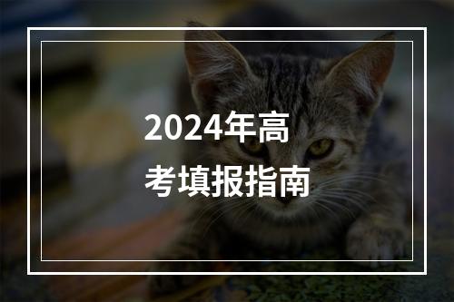 2024年高考填报指南