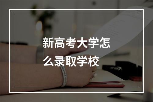 新高考大学怎么录取学校