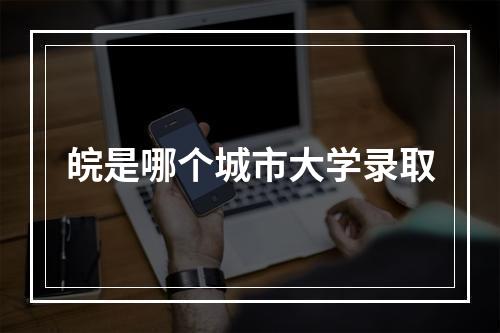 皖是哪个城市大学录取