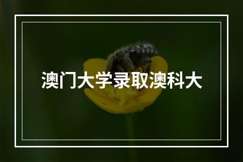 澳门大学录取澳科大