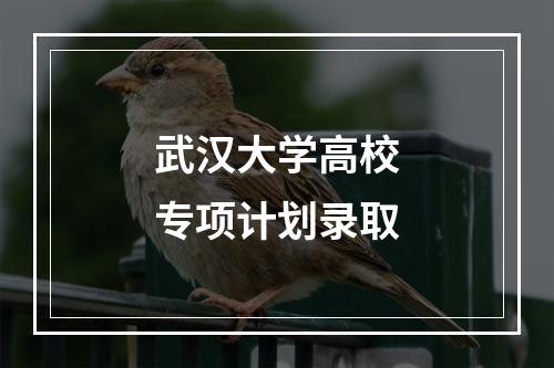 武汉大学高校专项计划录取