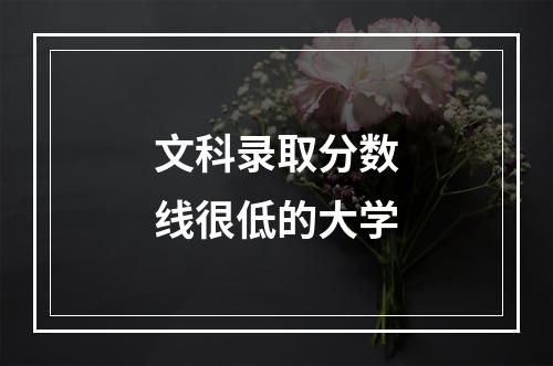 文科录取分数线很低的大学