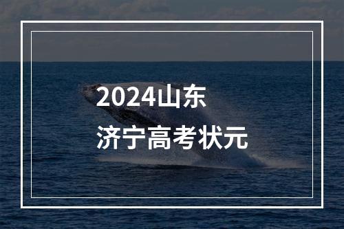 2024山东济宁高考状元