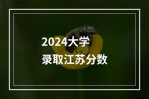 2024大学录取江苏分数