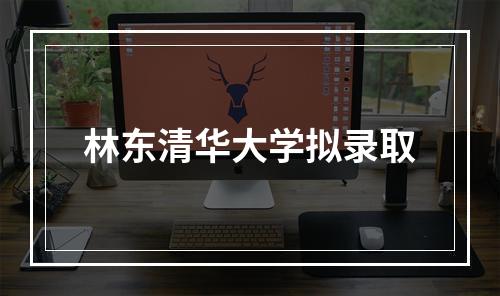 林东清华大学拟录取