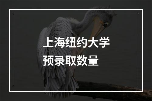 上海纽约大学预录取数量