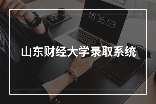 山东财经大学录取系统