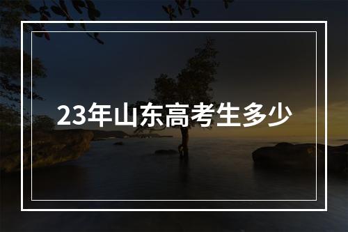 23年山东高考生多少