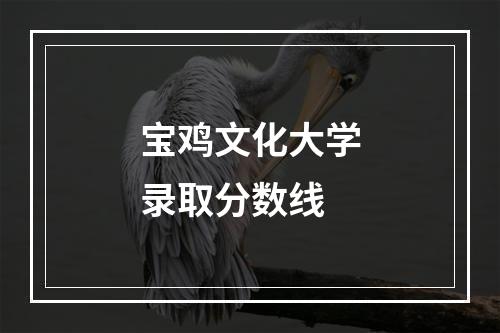 宝鸡文化大学录取分数线