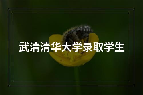 武清清华大学录取学生