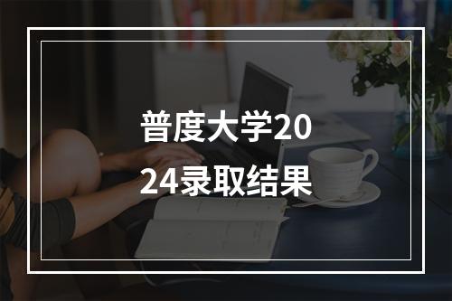 普度大学2024录取结果