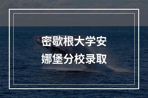 密歇根大学安娜堡分校录取