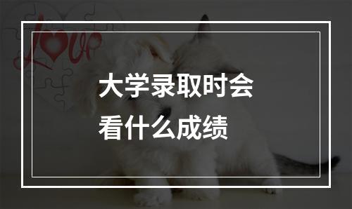 大学录取时会看什么成绩