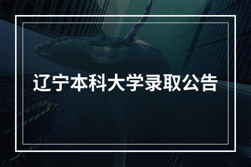 辽宁本科大学录取公告