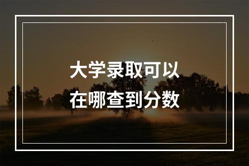 大学录取可以在哪查到分数