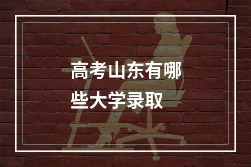 高考山东有哪些大学录取