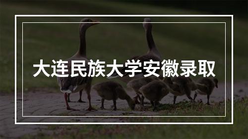 大连民族大学安徽录取