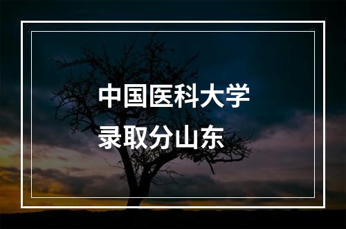 中国医科大学录取分山东