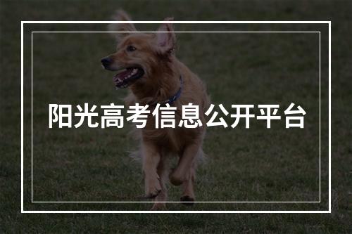 阳光高考信息公开平台