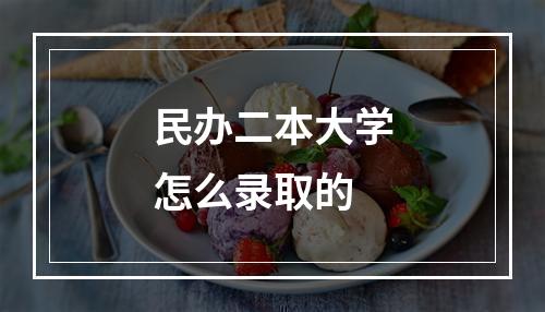 民办二本大学怎么录取的