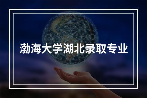 渤海大学湖北录取专业