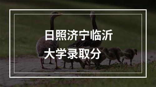 日照济宁临沂大学录取分