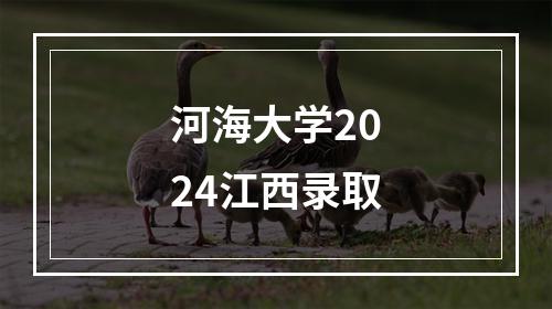 河海大学2024江西录取