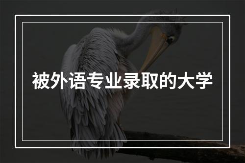 被外语专业录取的大学