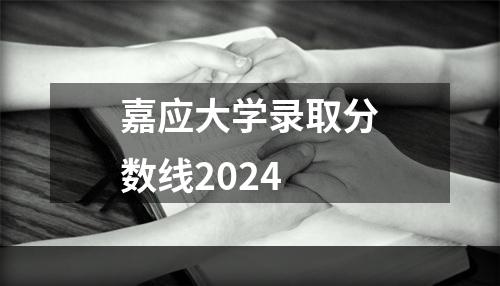 嘉应大学录取分数线2024