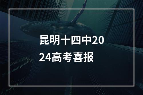 昆明十四中2024高考喜报