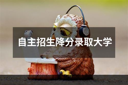 自主招生降分录取大学