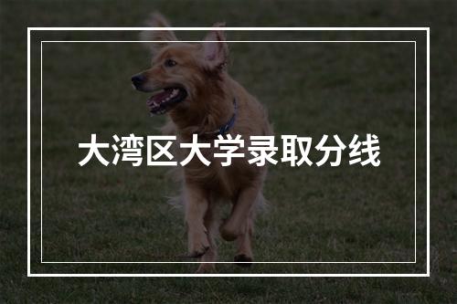 大湾区大学录取分线