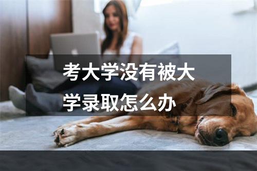 考大学没有被大学录取怎么办