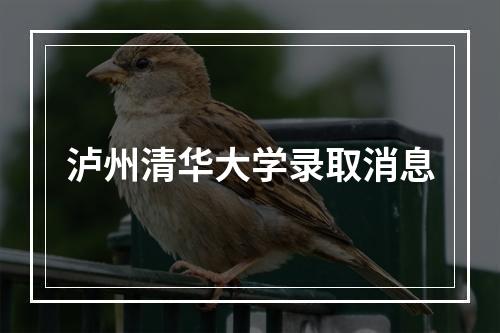 泸州清华大学录取消息